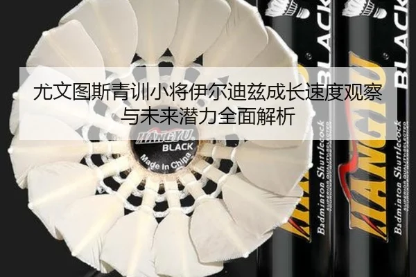 尤文图斯青训小将伊尔迪兹成长速度观察与未来潜力全面解析