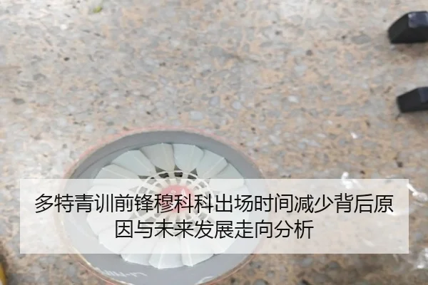 多特青训前锋穆科科出场时间减少背后原因与未来发展走向分析